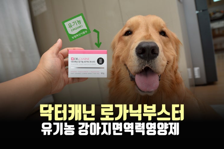  강아지유산균 - 유기농으로 면역력까지!