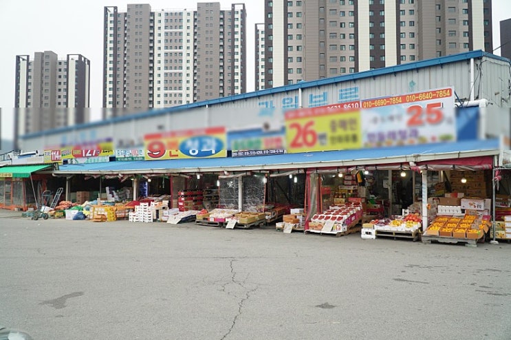  목포 농산물도매시장 과일 구경오세요