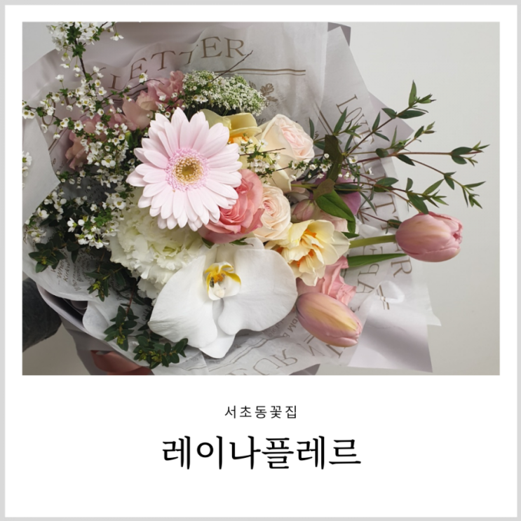 서초동꽃집 레이나플레르 고급스러웠던 호접란꽃다발 서초동꽃집 레이나플레르 고급스러웠던 호접란꽃다발