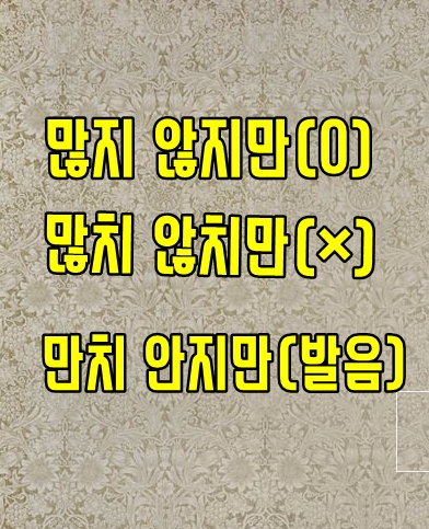  많지(만치) 않지만, 많치 않치만 올바른 표기