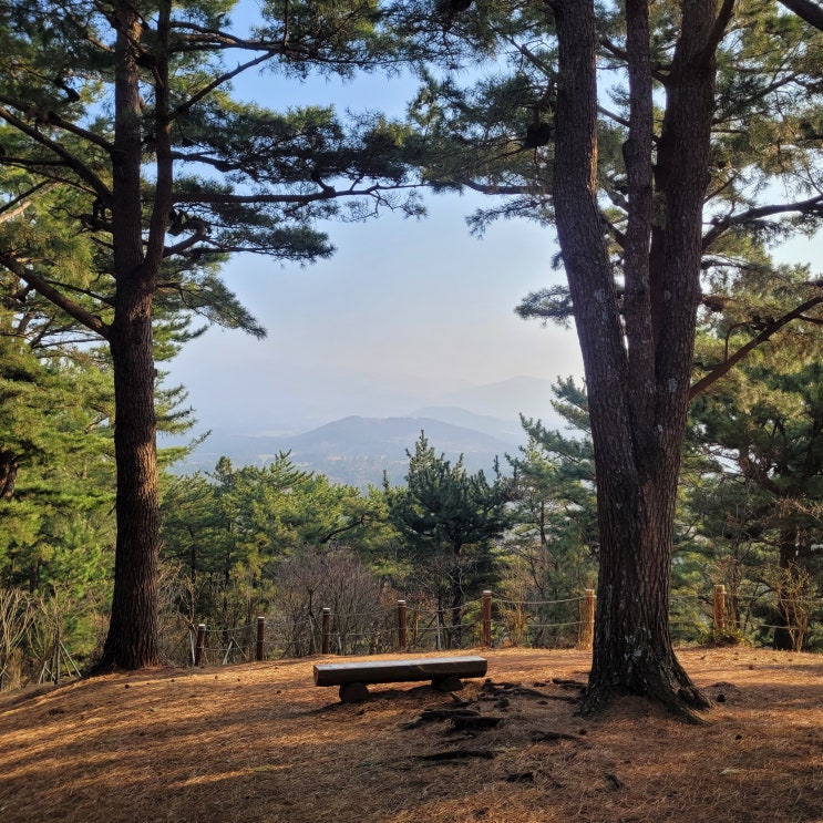  제주도 당일 뚜벅이 여행
