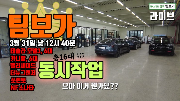  팀보가 라이브! 신차 패키지와 카오디오, 특수 커스텀 작업까지!! 테슬라 모델3 6대, 카니발 KA4 6대를 포함한 총 16대 동시 작업!!