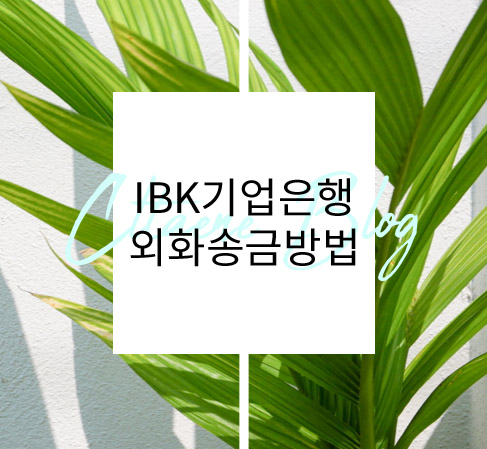  IBK 기업은행 기업인터넷뱅킹 법인 외화송금(해외) 하기