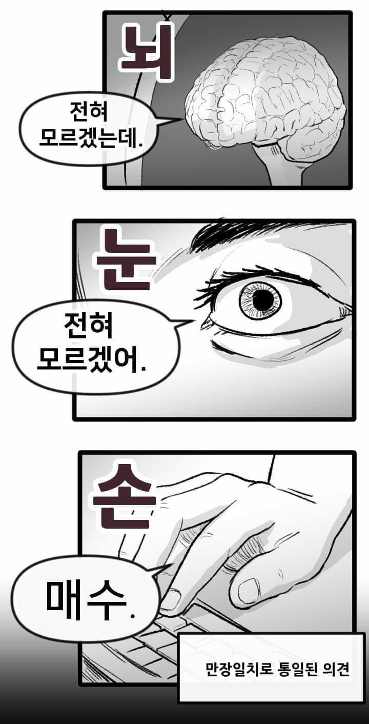 코인 짤/비트코인 짤/주식 짤 1 : 네이버 블로그