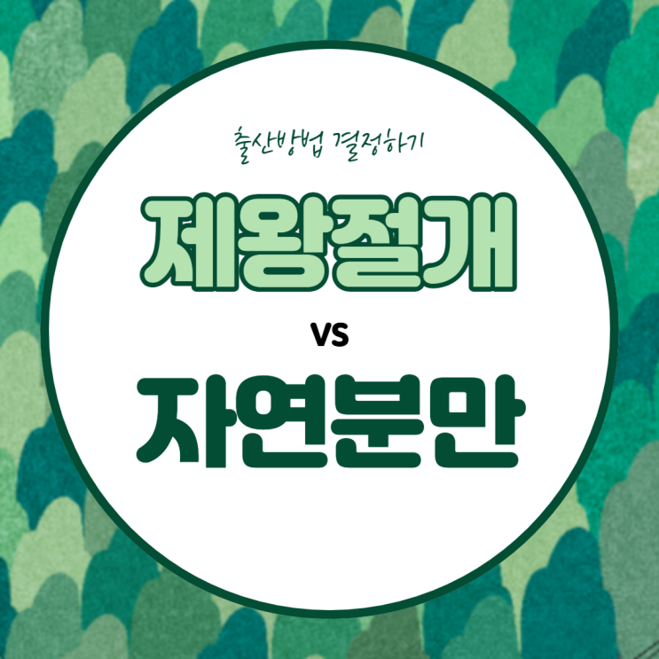  [출산 준비] 출산방법 결정(제왕절개vs자연분만)