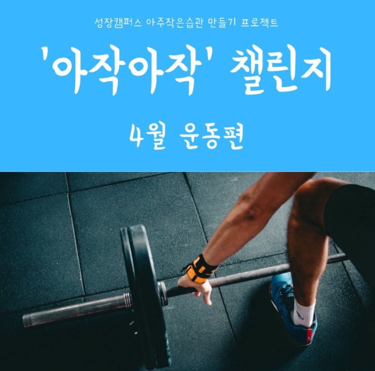  아주 작은 습관의 힘 (작심30일 프로젝트)