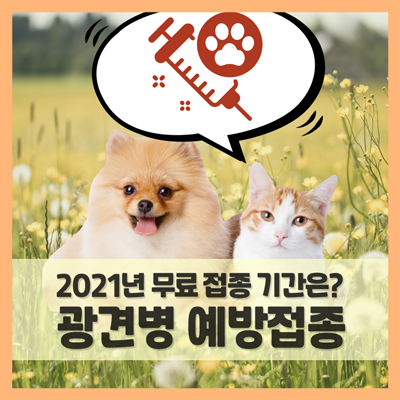  강아지 고양이 광견병주사, 2021년 무료 예방 접종 기간은? (f. 서울, 경기 등)
