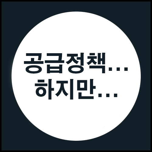  밀려들듯이 나오는 공급대책...하지만...