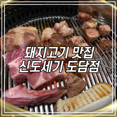  세종 신도세기 도담점 / 분위기 좋은 내돈내산 도담동 돼지고기 맛집