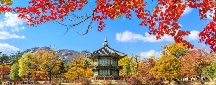  재외 동포비자는 어떻게 신청해야 하죠?
