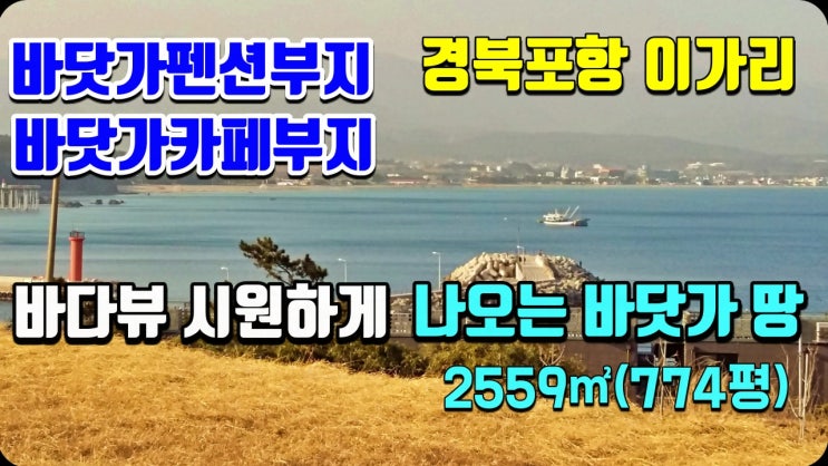 바닷가토지 포항 이가리 펜션부지 카페부지로 추천하는 잘생긴 바닷가땅 바닷가토지 포항 이가리 펜션부지 카페부지로 추천하는 잘생긴 바닷가땅