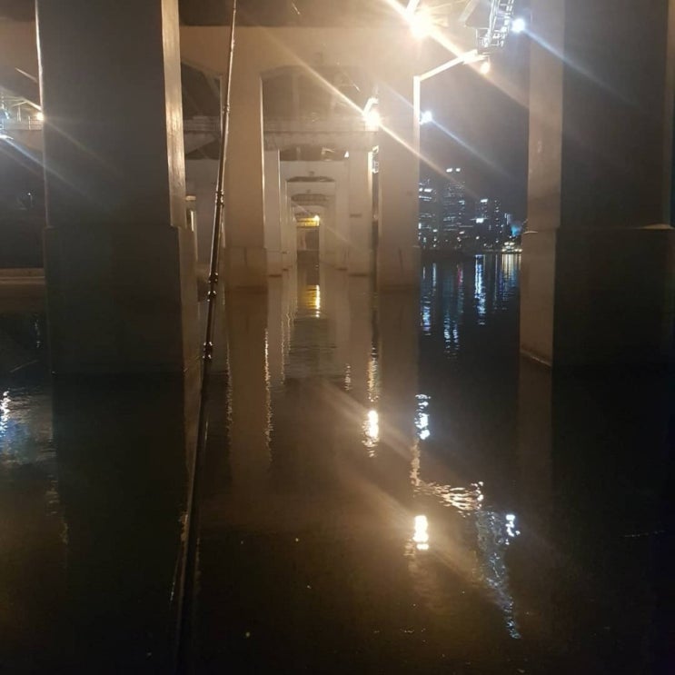  서울에서 배스를 잡을 수 있을까?(양화한강 배스낚시 )(야습)