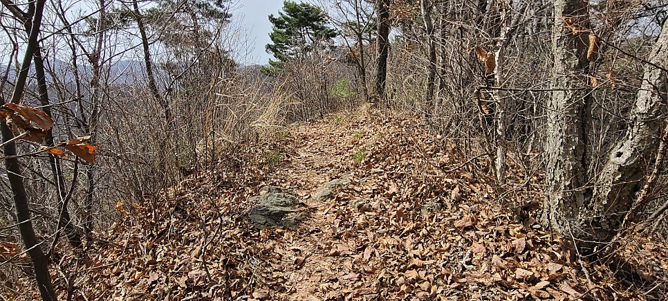 원마산 사진 3