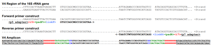  Microbiome)16S rRNA Miseq 원리 및 Amplicon과 library의 차이