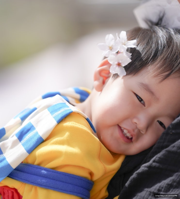  210401 오늘의 일상 / 경주 꽃구경 다녀왔어요