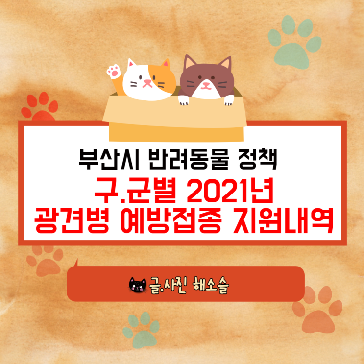  부산시 반려동물 정책 "2021년 광견병 예방접종 지원"