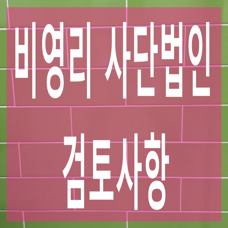  비영리 사단법인 설립 신청시 주무관청의 주요 검토사항
