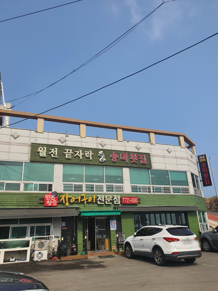  기장 장어맛집 송미횟집에서 몸보신 하고 왔어요(feat. 장어 찐단골)