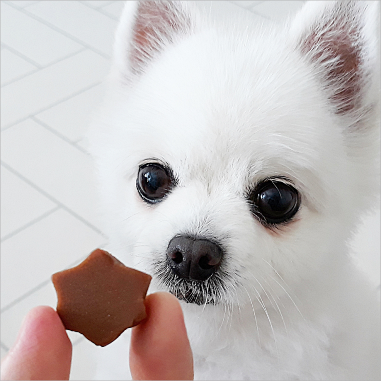 아모스팜 견수무강 만드신분 절받으세요