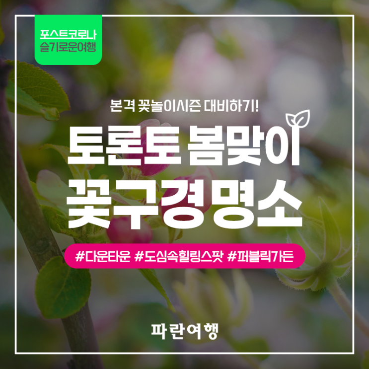  [포스트코로나 슬기로운여행] 본격 꽃놀이시즌 대비하기! 토론토 봄맞이 꽃구경 명소