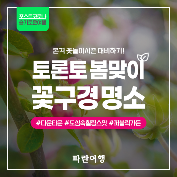 [포스트코로나 슬기로운여행] 본격 꽃놀이시즌 대비하기! 토론토 봄맞이 꽃구경 명소