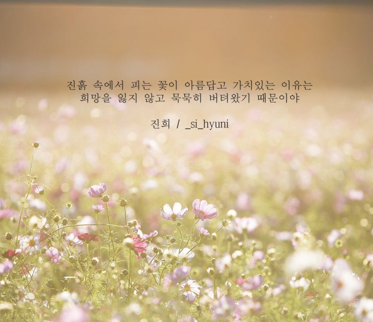  [이름 이행시/글귀/배경화면]진희 이행시