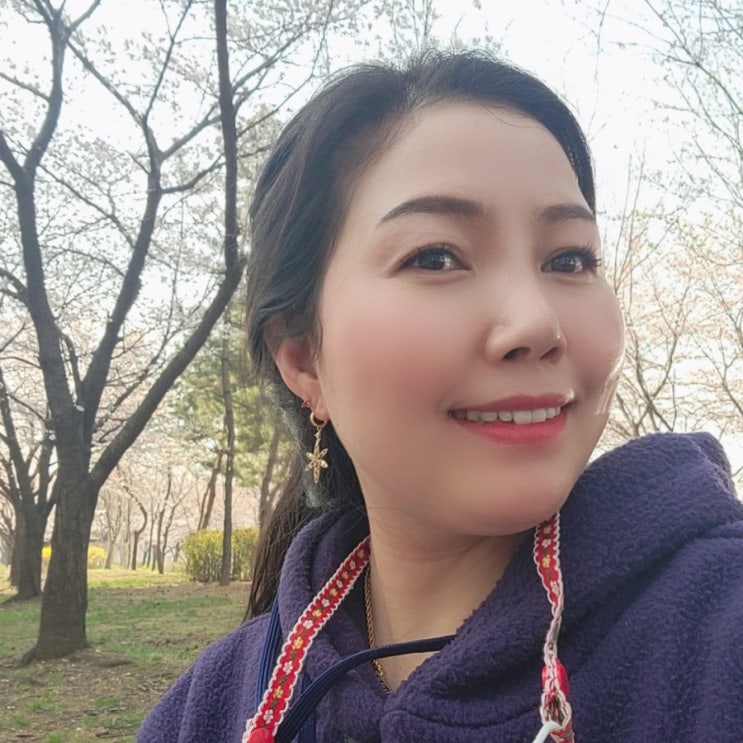  안산 호수마을 벚꽃길 사색의 길
