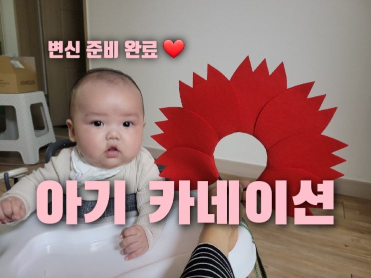  아기 카네이션 탄생, 리틀페어리 부모님/선생님 효도 선물 카네이션머리띠 추천