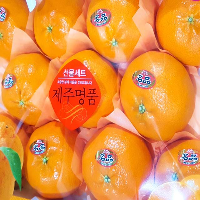 최근 많이 팔린 달달과수원 달달한 레드향 선물세트 3kg 특품, 2박스, 3kg(총6kg) 좋아요 최근 많이 팔린 달달과수원 달달한 레드향 선물세트 3kg 특품, 2박스, 3kg(총6kg) 좋아요
