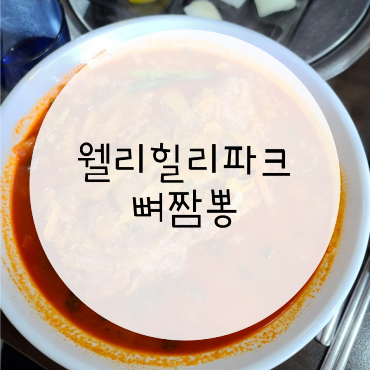 둔내맛집 뼈짬뽕 웰리힐리파크 주변 맛집