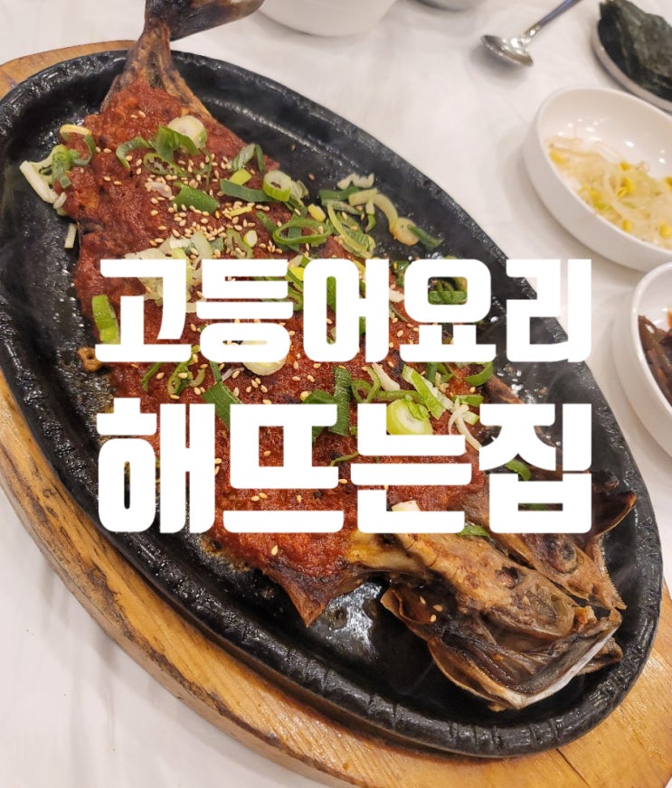  광주 해뜨는집 점심 맛집 고등어요리