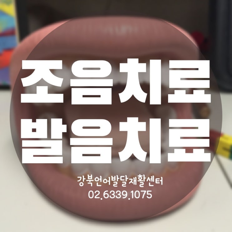 [서울 발음치료]조음(발음)장애아동 발음교정 전문센터