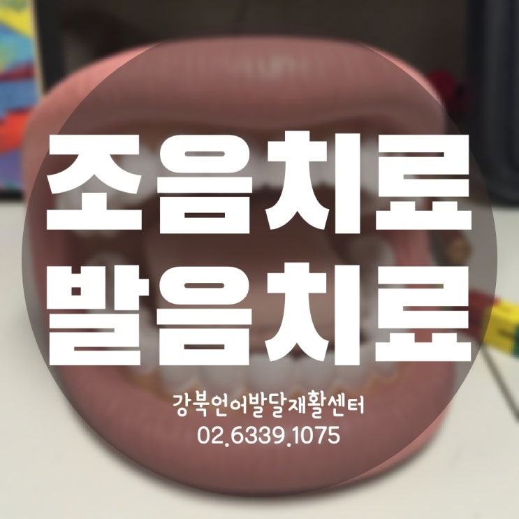  [서울 발음치료]조음(발음)장애아동 발음교정 전문센터
