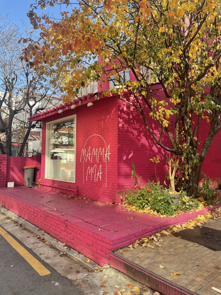  압구정로데오 카페 맘마미아 예쁜 디저트 가득한 카페