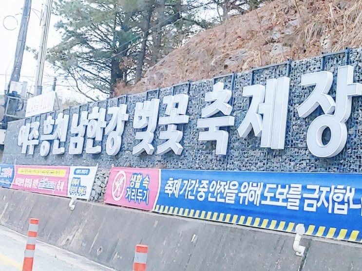 여주 흥천 남한강 벚꽃축제 일정알아보고 드라이브쓰루로 벚꽃엔딩 주인공되기 여주 흥천 남한강 벚꽃축제 일정알아보고 드라이브쓰루로 벚꽃엔딩 주인공되기