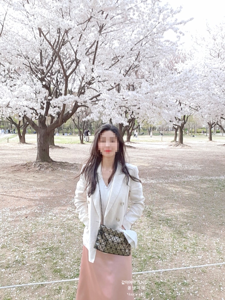  숨겨진 벚꽃 명소:: 인적드문 서울숲 벚꽃 포토존에서 마음껏 사진 찍자!