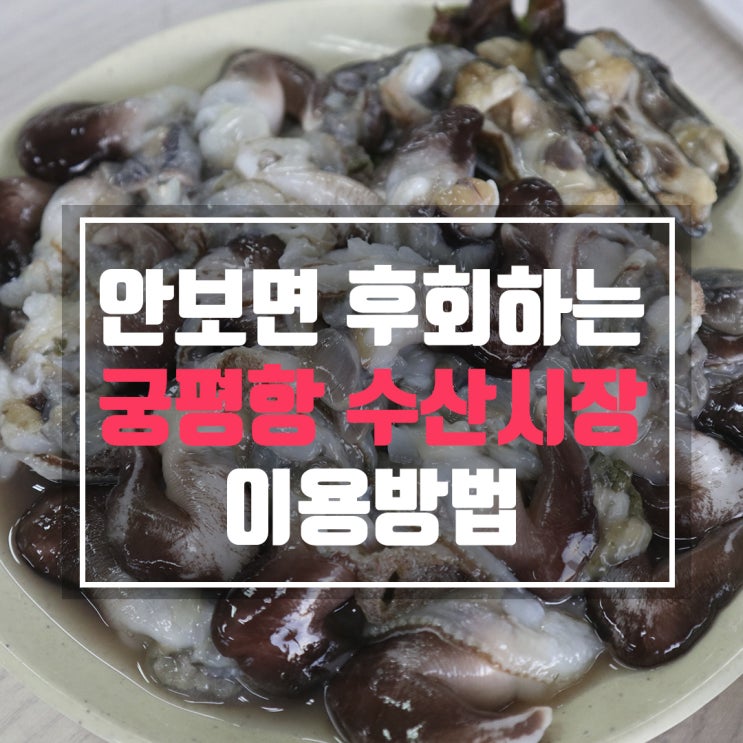  궁평항 수산시장 맛있고 가성비있게 이용하는 꿀팁