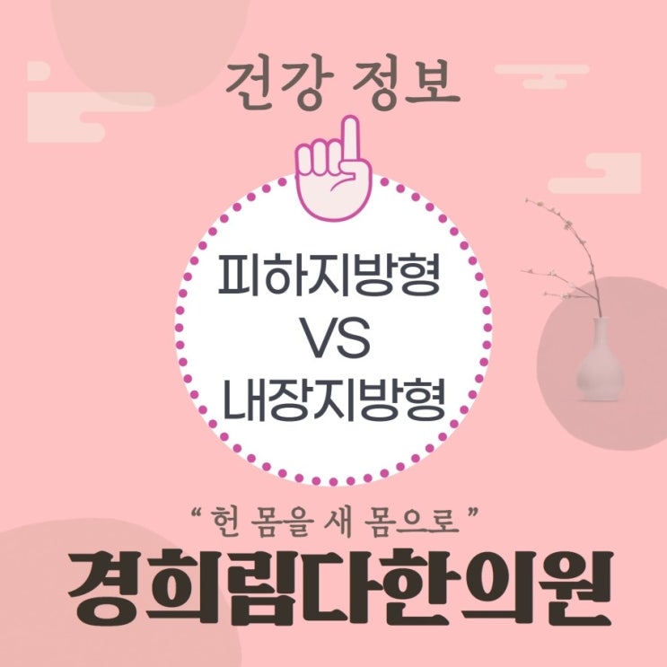  6. 피하지방형 비만 VS 내장지방형 비만, 어떻게 다를까?