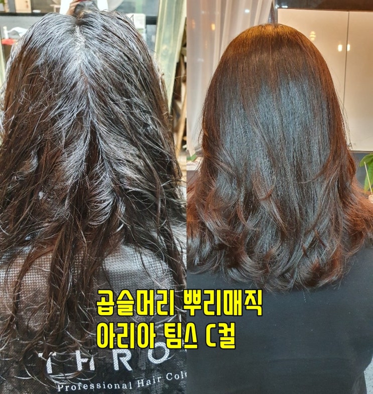  전주 마벨 곱슬머리 뿌리매직과 아리아펌, 중단발 레이어드 c컬펌