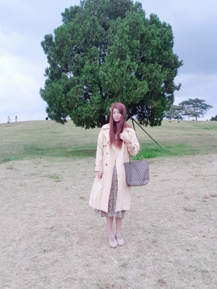  드림큐를 시작한 이유
