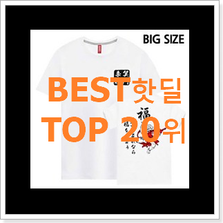 갓성비 티셔츠 목록 베스트 성능 랭킹 20위