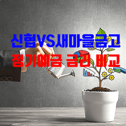  정기예금 금리 비교 활용성 높이기 (신협/새마을금고)
