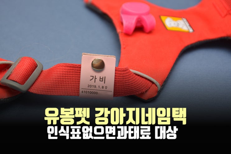  유봉펫 강아지네임텍 - 이제 강아지인식표 없으면 과태료 대상입니다.(동물보호법)
