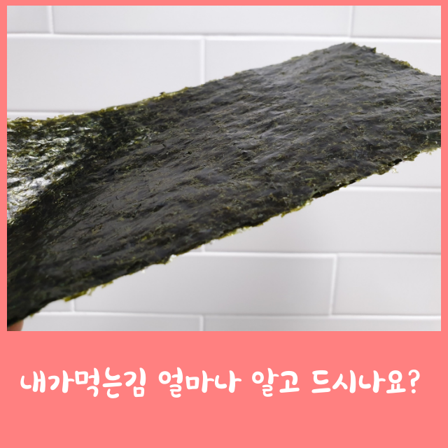  무염산김 자연산김 유기농김 친환경김 김원초 김양식