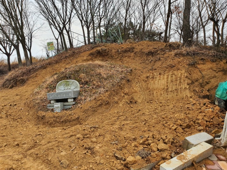 갑자기 사라진 할머니 산소 육촌이웃 만행 이유 남의 집에서 아들을 찾는 남자 궁금한이야기Y 갑자기 사라진 할머니 산소 육촌이웃 만행 이유 남의 집에서 아들을 찾는 남자 궁금한이야기Y