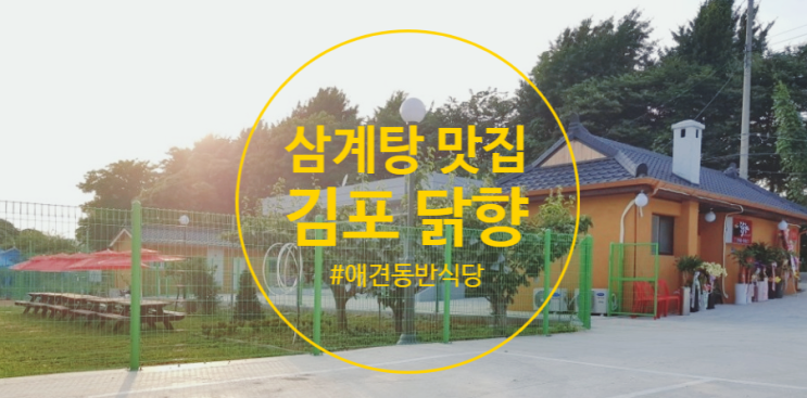 서울 인천 근거리 애견동반 맛집 김포 닭향