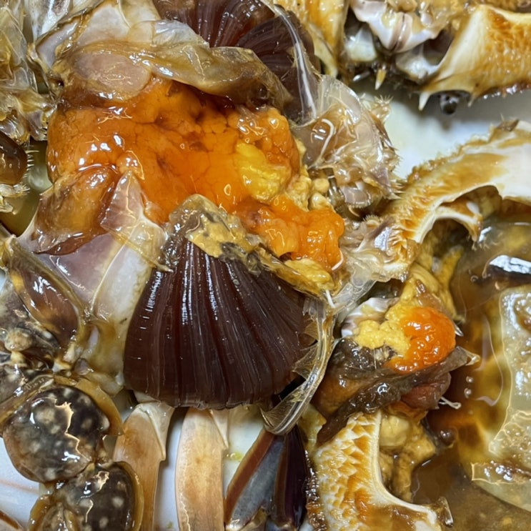  뇽이야기 : 애드포스트 승인 / 뇽 맛집 소개