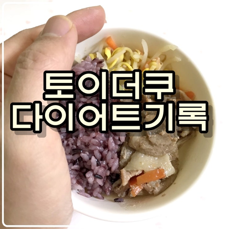 토이콜렉터 손대니의 운동(다이어트)기록 -210402 토이콜렉터 손대니의 운동(다이어트)기록 -210402
