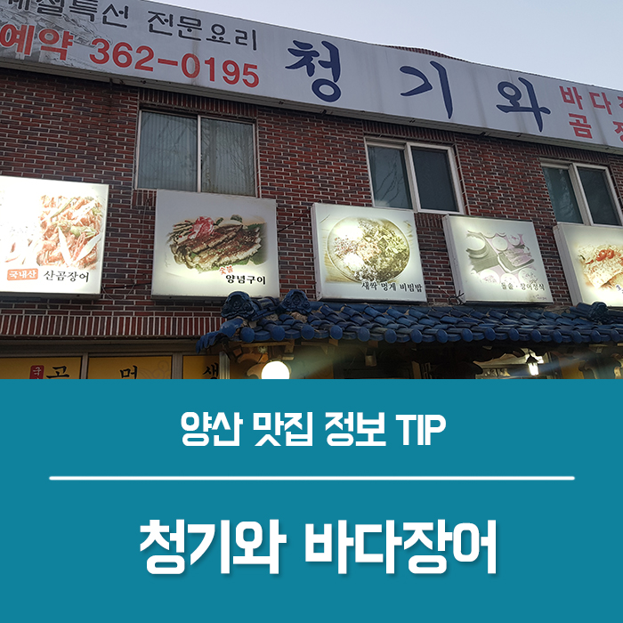  [양산 북부동 맛집] 갈치 찌개, 갈치구이 먹고 반한 숨은 맛집 : 양산 청기와 바다장어