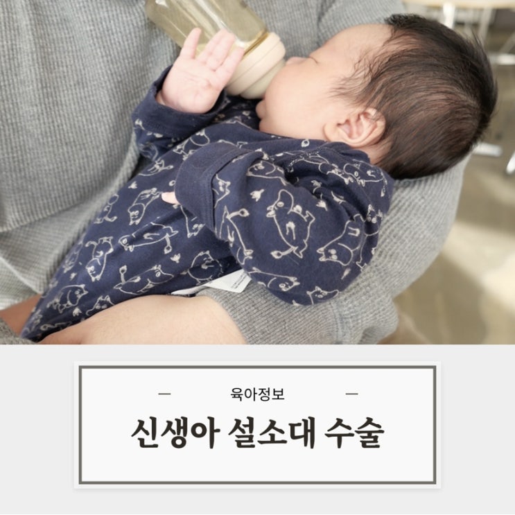  둘째 신생아 설소대 수술 후기 (자가체크, 시기, 부작용, 비용, 보험청구)